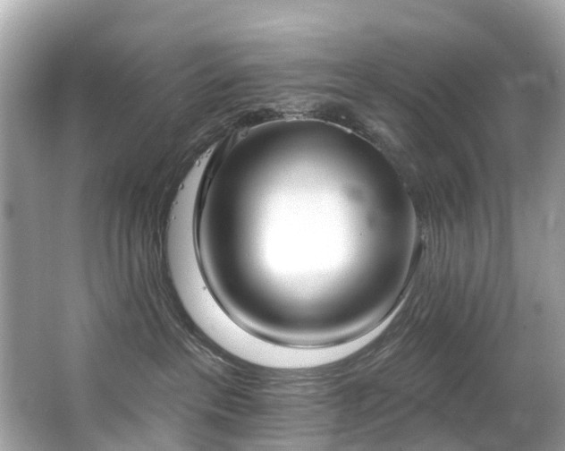 X0000063530237200601231550