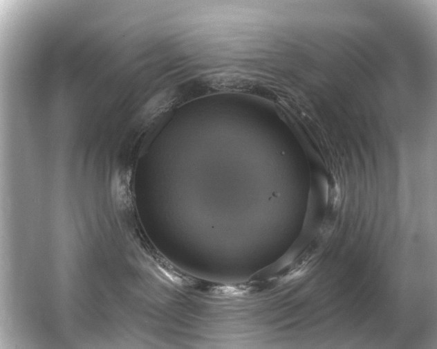 X0000063530239200601231550