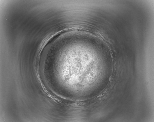 X0000063530241200601231549