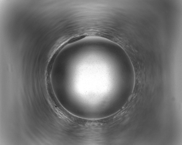 X0000063530242200601231549