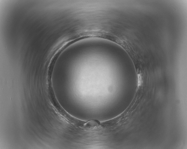 X0000063530243200601231549