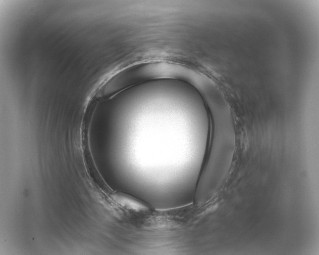 X0000063530244200601231549