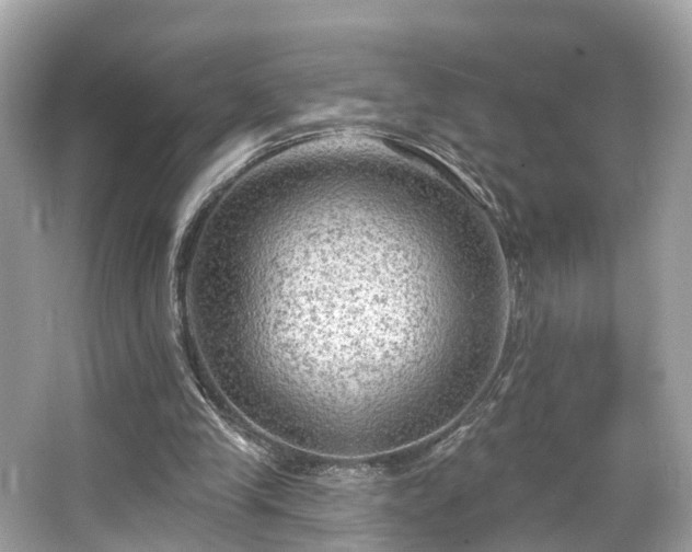 X0000063530245200601231549