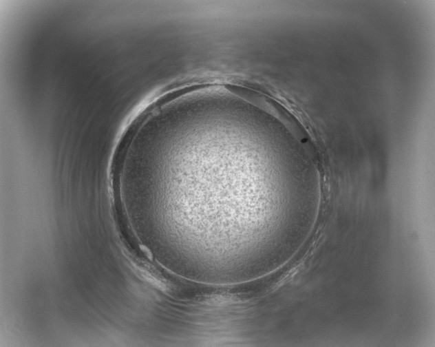 X0000063530246200601231549