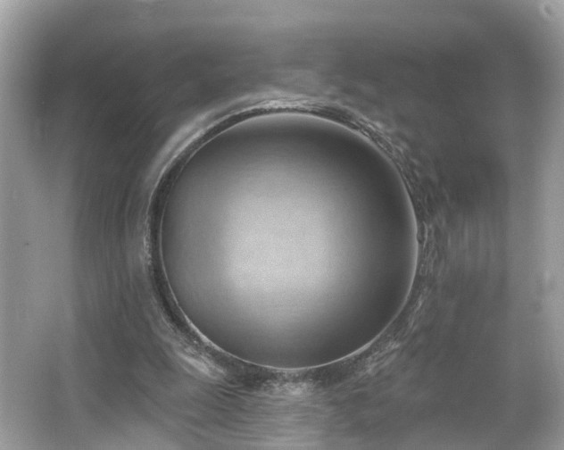 X0000063530247200601231549