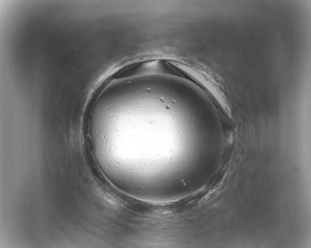 X0000063530248200601231549