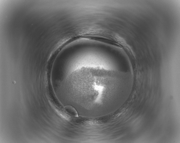 X0000063530250200601231549