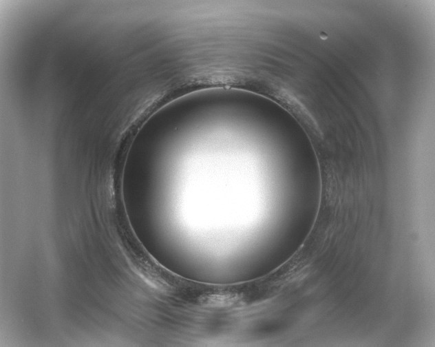 X0000063530251200601231549