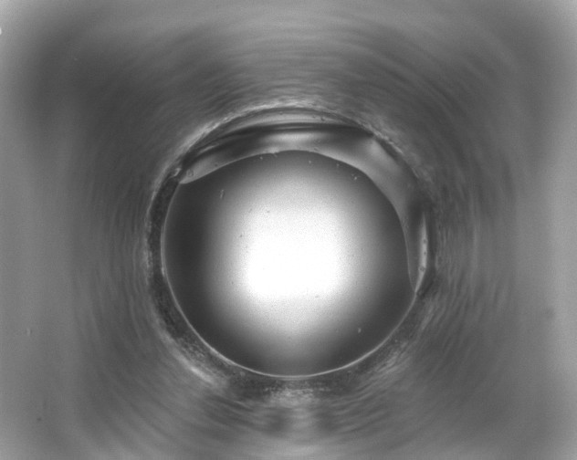 X0000063530252200601231549