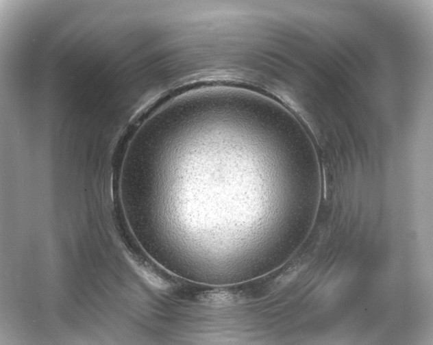 X0000063530253200601231549