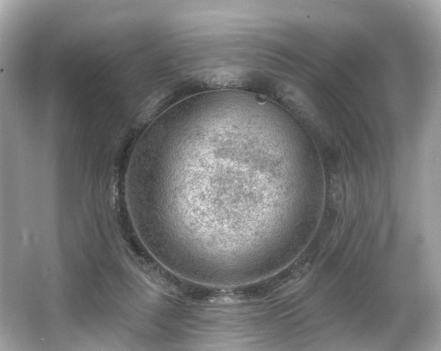 X0000063530259200601231549