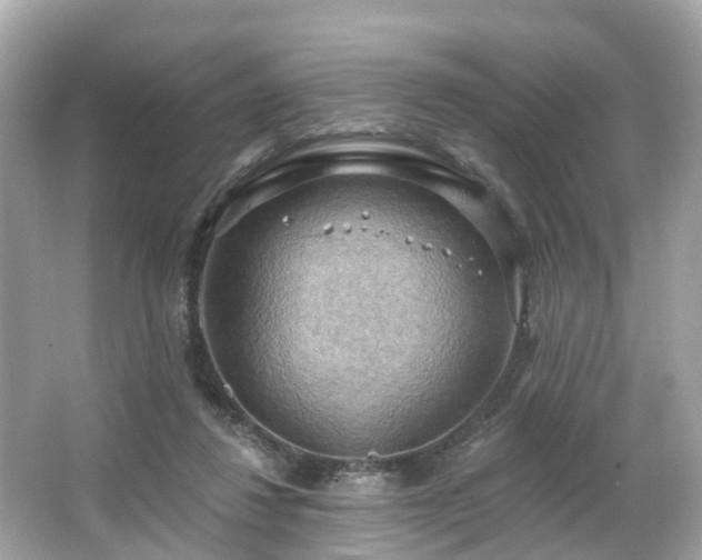 X0000063530260200601231549