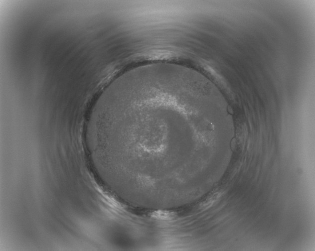 X0000063530261200601231549