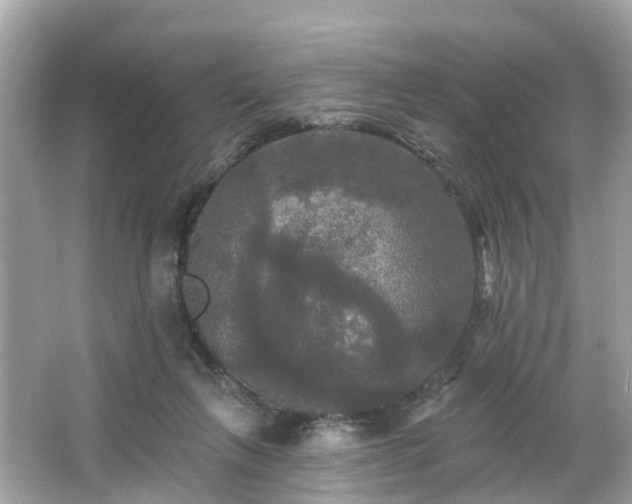 X0000063530263200601231549