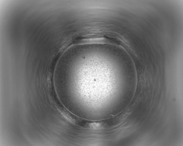 X0000063530265200601231549