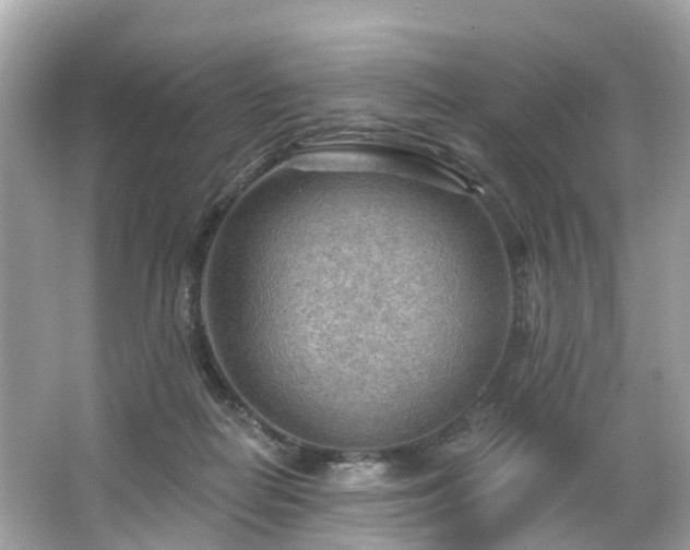 X0000063530266200601231549