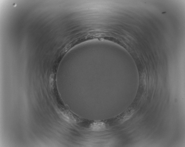 X0000063530271200601231549