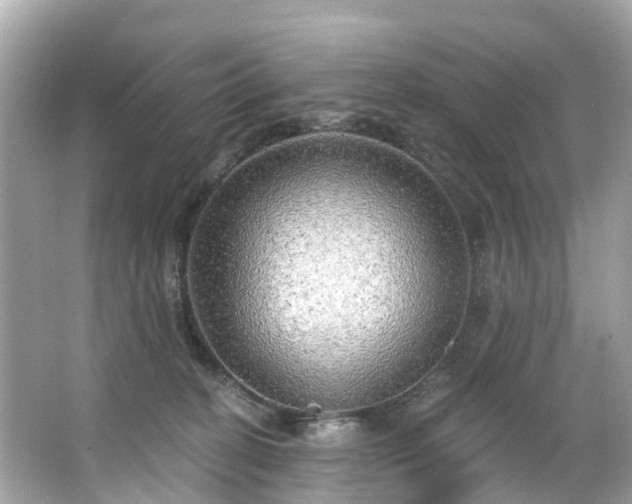 X0000063530274200601231549