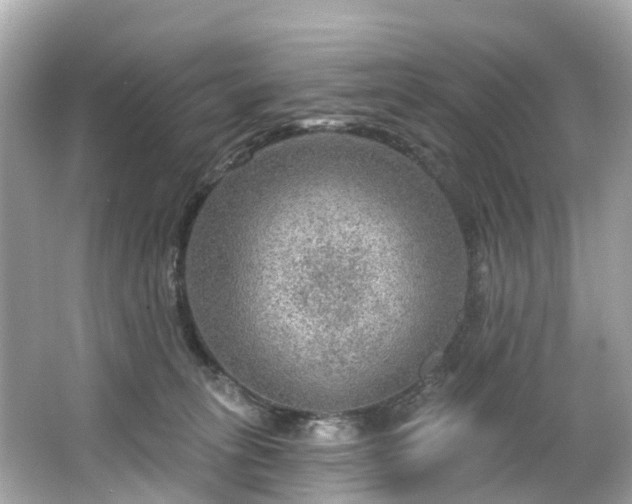 X0000063530275200601231549