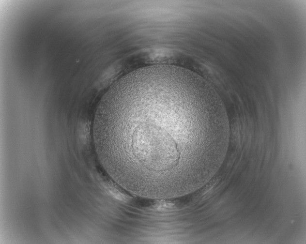 X0000063530278200601231549