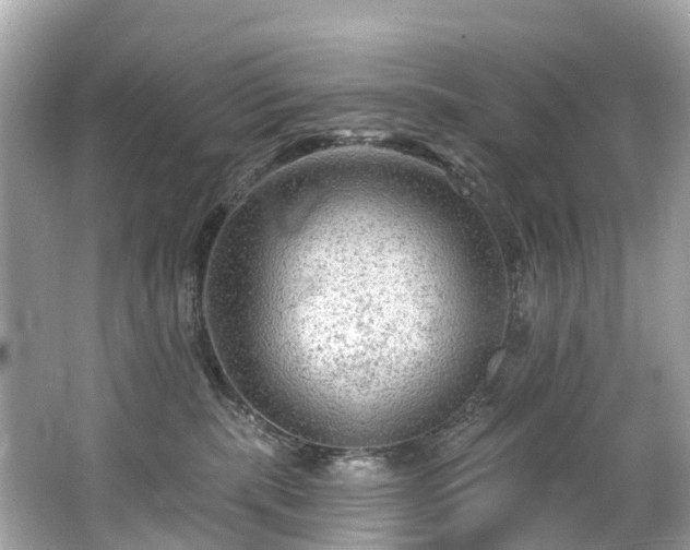 X0000063530283200601231550