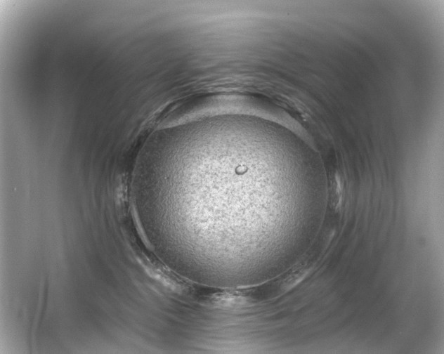 X0000063530284200601231550