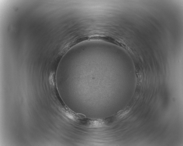 X0000063530286200601231550