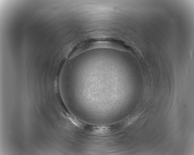 X0000063530288200601231550