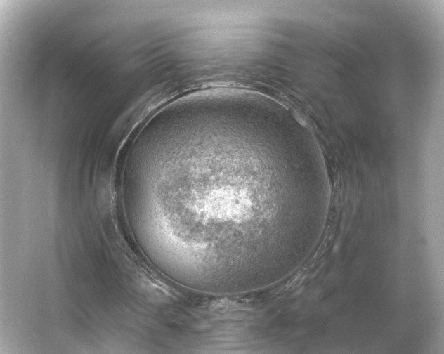 X0000063530290200601231549