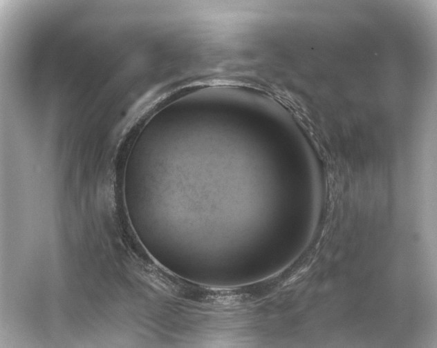 X0000063530295200601231549