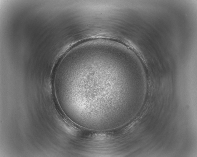 X0000063530298200601231549