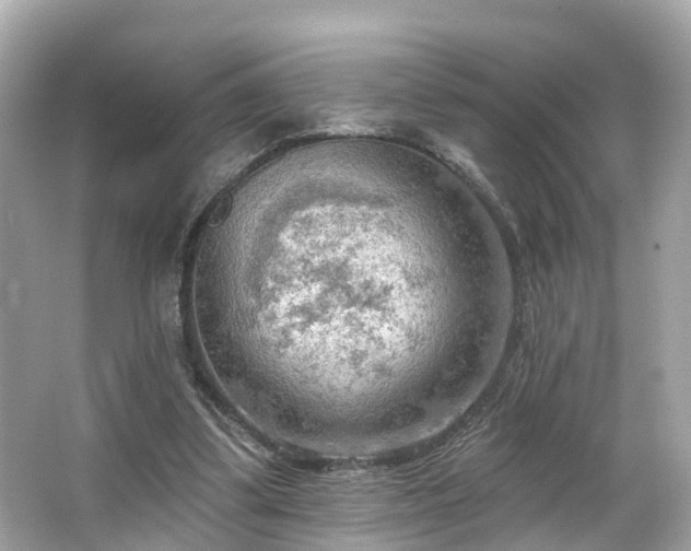 X0000063530299200601231549