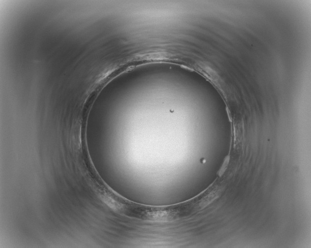 X0000063530301200601231549