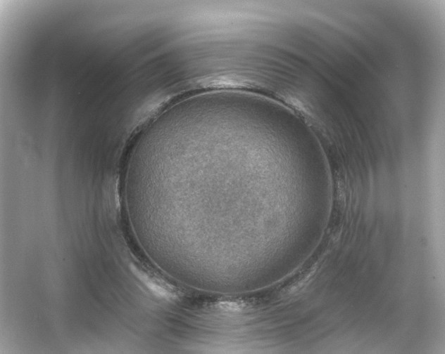 X0000063530302200601231549