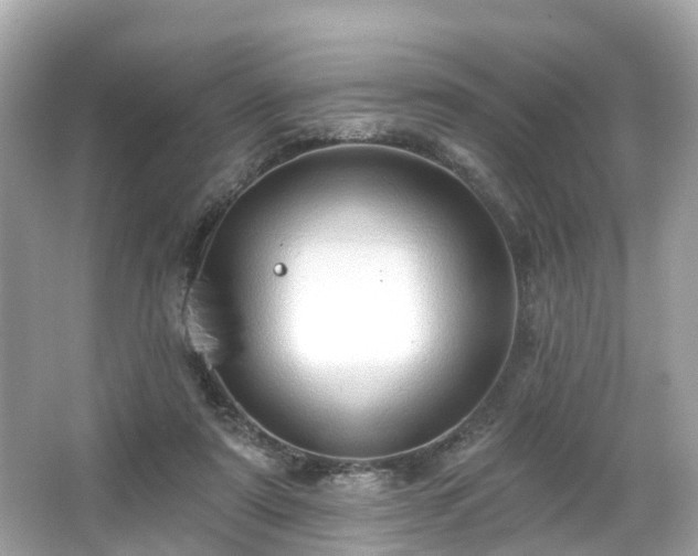 X0000063530307200601231549