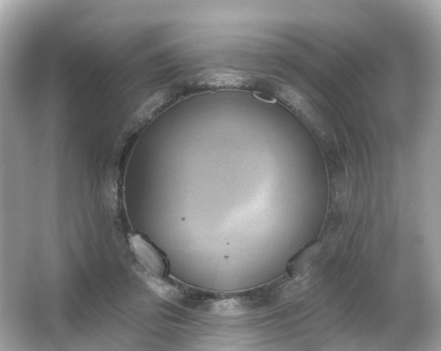 X0000063530309200601231548