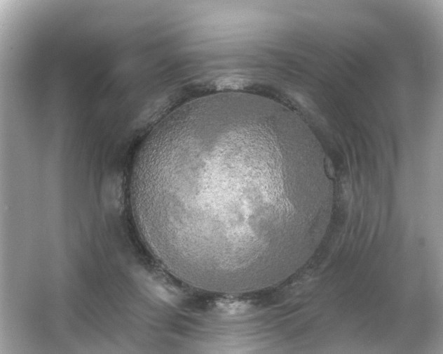 X0000063530311200601231548