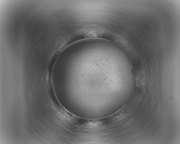 X0000063530314200601231548