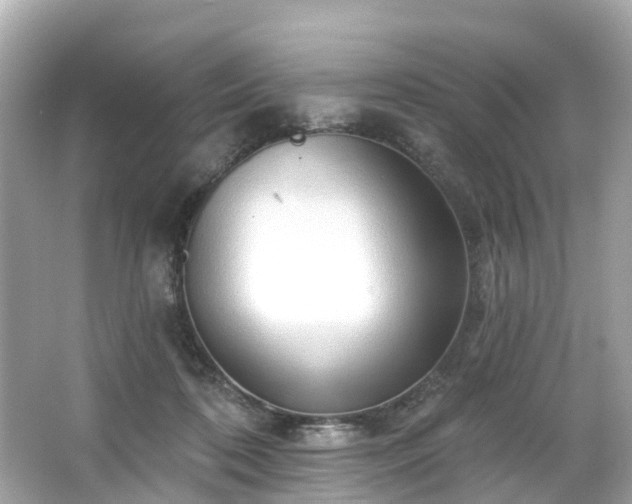 X0000063530316200601231548