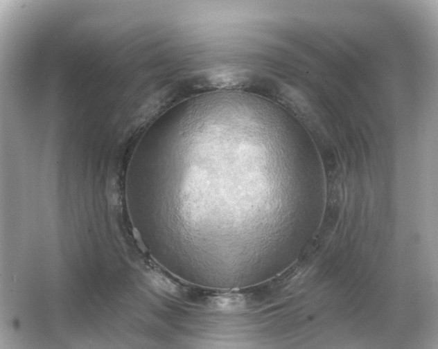 X0000063530317200601231548