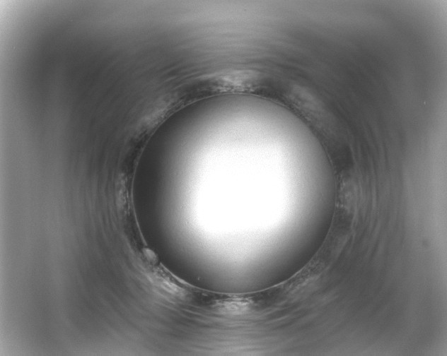 X0000063530318200601231548