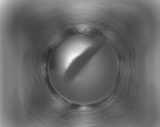 X0000063530319200601231548