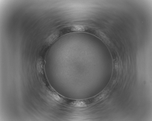 X0000063530322200601231548