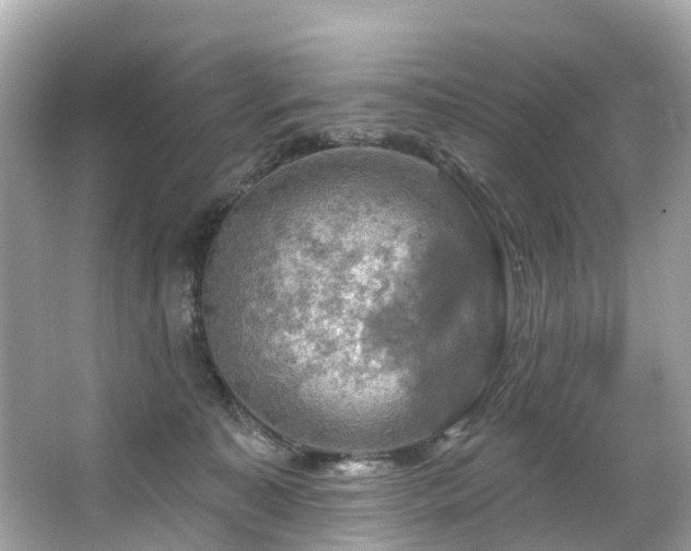 X0000063530323200601231548