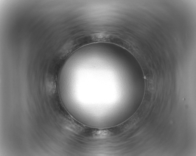 X0000063530324200601231548