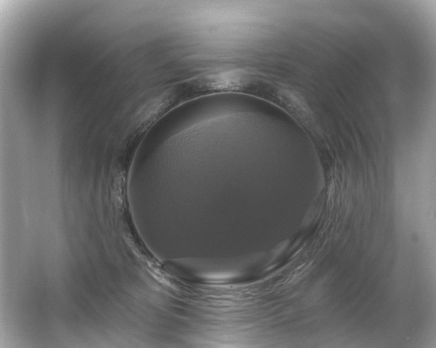 X0000063530325200601231548