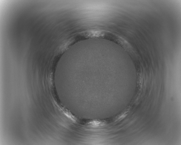 X0000063530326200601231548