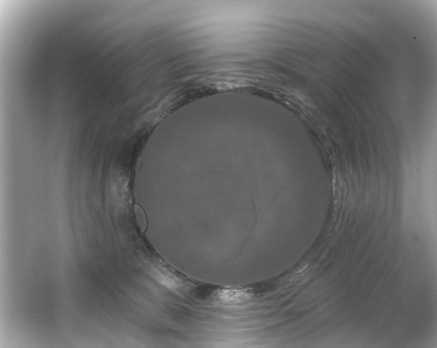 X0000063530327200601231548