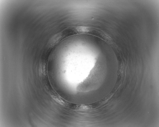 X0000063530330200601231548