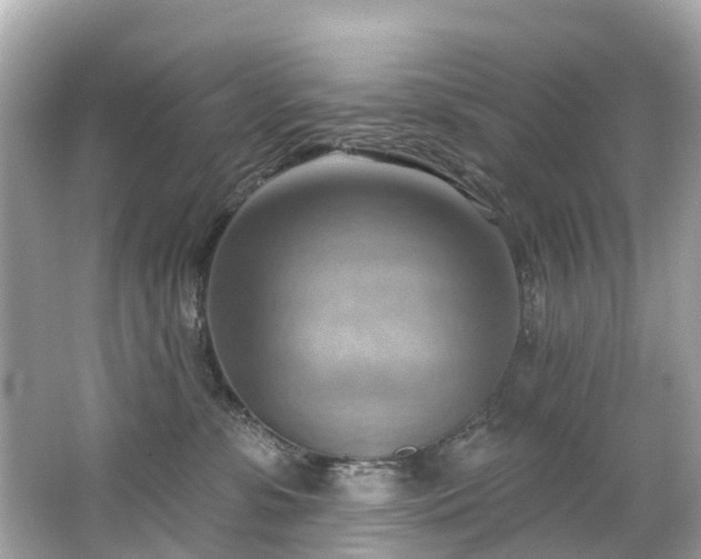 X0000063530331200601231548